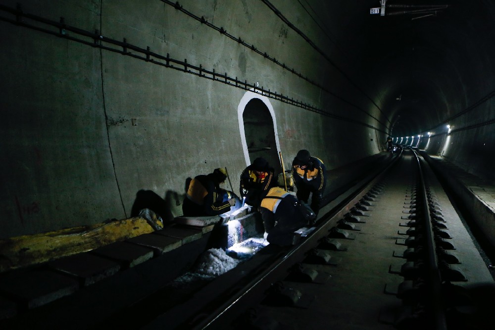 秀屿铁路运营隧道病害现状